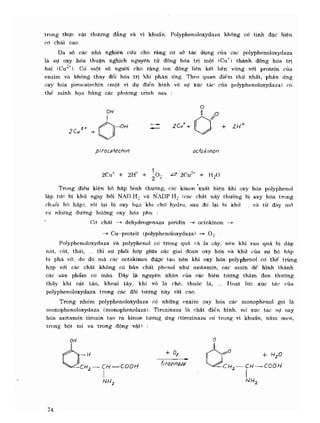 Hóa sinh công nghiệp