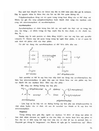 Hóa sinh công nghiệp