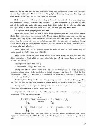 Hóa sinh công nghiệp