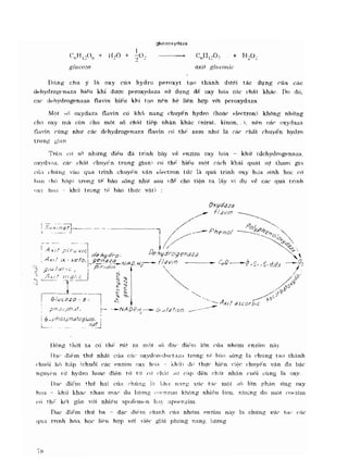Hóa sinh công nghiệp