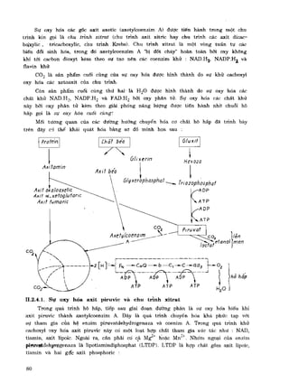 Hóa sinh công nghiệp