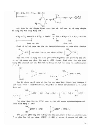 Hóa sinh công nghiệp