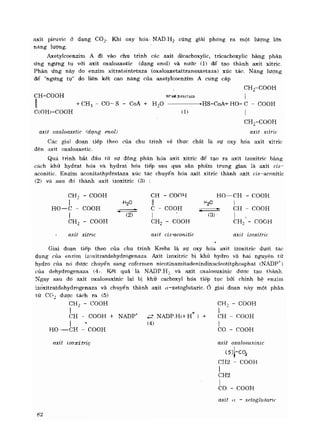 Hóa sinh công nghiệp