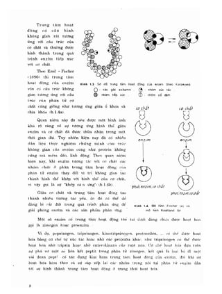 Hóa sinh công nghiệp
