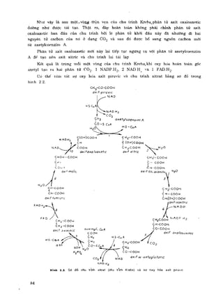 Hóa sinh công nghiệp