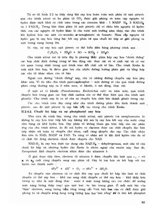 Hóa sinh công nghiệp