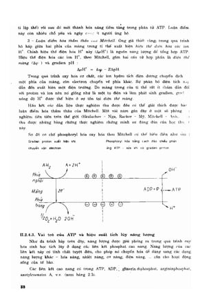 Hóa sinh công nghiệp
