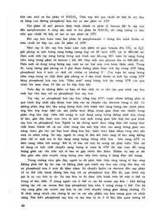 Hóa sinh công nghiệp