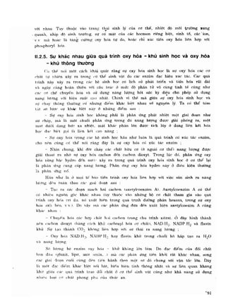 Hóa sinh công nghiệp