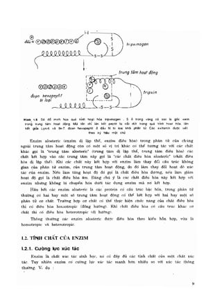 Hóa sinh công nghiệp