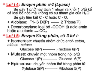 * Lo¹i 4: Enzym ph©n c¾t (Lyase)
      BÎ g·y 1 p/tö hay t¸ch 1 nhãm ra khái 1 p/tö kÓ
  c¶ lo¹i bá níc mµ kh«ng cã sù ttham gia cña H2O.
      BÎ g·y liên kÕt C - C hoÆc C - O.
  + Aldolase: F1- 6 Di(P)     2 Triose(P)
  + Decarboxylase lo¹i bá -COOH tõ acid amin
  hoặc a.cetonic    CO2
* Lo¹i 5: Enzym ®ång ph©n, cã 3 lo¹i:
  + Isomerase: chuyÓn nhãm chøc enol- ceton,
  aldose- cetose
          Glucose 6(P)     Fructose 6(P)
  + Mutase: chuyÓn mét nhãm trong néi p/tö
          Glucose 1(P)       Glucose 6(P)
  + Epimerase: chuyÓn nhãm thÕ trong ph©n tö
           Xylulose 5(P)     Ribulose 5(P)
 