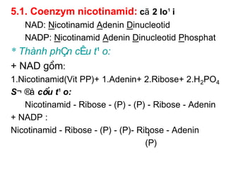 5.1. Coenzym nicotinamid: cã 2 lo¹i
   NAD: Nicotinamid Adenin Dinucleotid
   NADP: Nicotinamid Adenin Dinucleotid Phosphat
* Thµnh phÇn cÊu t¹o:
+ NAD gåm:
1.Nicotinamid(Vit PP)+ 1.Adenin+ 2.Ribose+ 2.H2PO4
S¬ ®å cÊu t¹o:
   Nicotinamid - Ribose - (P) - (P) - Ribose - Adenin
+ NADP :
Nicotinamid - Ribose - (P) - (P)- Ribose - Adenin
                                    (P)
 