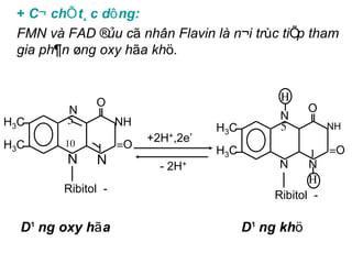 + C¬ chÕ t¸c dông:
 FMN vµ FAD ®Òu cã nh©n Flavin lµ n¬i trùc tiÕp tham
 gia ph¶n øng oxy hãa khö.


              O                                H
         N                                           O
         5                                     N
H3C                 NH              H3C        5         NH
        10               +2H+,2e’
H3C           1     =O
                                    H3C              1 =O
         N    N            - 2H+               N     N
                                                     H
        Ribitol -
                                              Ribitol -

  D¹ng oxy hãa                            D¹ng khö
 