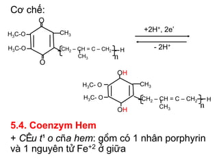 Cơ chế:
        O
            CH3                           +2H+, 2e’
H3C-O

H3C-O       CH2 – CH = C – CH2       H         - 2H+
                  CH3            n
        O
                                 OH
                   H3C- O                CH3

                    H3C- O               CH2 – CH = C – CH2       H
                                               CH3            n
                                 OH

5.4. Coenzym Hem
+ CÊu t¹o cña hem: gåm cã 1 nh©n porphyrin
vµ 1 nguyªn tö Fe+2 ë giữa
 