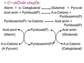 + C¬ chÕ vËn chuyÓn:
  Alanin + α- Cetoglutarat      Glutamat + Pyruvat
  Acid amin + Pyridoxal(P)      A.α-Cetonic +
                                     Pyridoxamin(P)
  Pyridoxamin(P) +α-Cetonic       Acid amin +
                                        Pyridoxal(P)
 Acid amin         Pyridoxal(P)        Acid amin
  (Alanin)                             (Glutamat)

A.α-Cetonic        Pyridoxamin(P)       A.α-Cetonic
(A.Pyruvic)                            (Cetoglutarat)
 