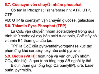 5.7. Coenzym vËn chuyÓn nhãm phosphat
    Cã tªn lµ Phosphat Transferase nh: ATP, UTP,
CTP.
VD: UTP lµ coenzym vËn chuyÓn glucose, galactose
5.8. Thiamin Pyro Phosphat (TPP)
    Lµ CoE vËn chuyÓn nhãm acetaldehyd trong qu¸
trình khö carboxyl oxy hãa acid α-cetonic, CoE nµy cã
vitamin B1 tham gia cÊu t¹o.
    TPP lµ CoE cña pyruvatdehydrogenase xóc t¸c
ph¶n øng khö carboxyl oxy hãa acid pyruvic.
5.9. Biotin (Vit H): ho¹t hãa vµ vËn chuyÓn nhãm
CO2, ®Æc biÖt lµ qu¸ trình tæng hîp AB ngoµi ty thÓ.
    Biotin tham gia tæng hîp Carbamyl(P), urª, base
purin, pyrimidin.
 