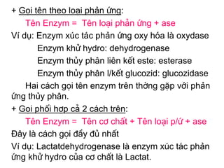 + Gäi tªn theo lo¹i phản øng:
    Tªn Enzym = Tªn lo¹i ph¶n øng + ase
Ví dụ: Enzym xóc t¸c phản øng oxy hãa lµ oxydase
       Enzym khö hydro: dehydrogenase
       Enzym thñy ph©n liên kÕt este: esterase
       Enzym thñy ph©n l/kÕt glucozid: glucozidase
    Hai c¸ch gäi tªn enzym trªn thêng gÆp víi phản
øng thủy ph©n.
+ Gäi phèi hîp c¶ 2 c¸ch trªn:
    Tªn Enzym = Tªn c¬ chÊt + Tªn lo¹i p/ø + ase
Đ©y lµ c¸ch gäi ®Çy ®ñ nhÊt
Ví dụ: Lactatdehydrogenase lµ enzym xóc t¸c phản
øng khö hydro cña c¬ chÊt lµ Lactat.
 