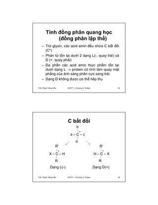 Tính đồng phân quang học 
(đồng phân lập thể) 
– Trừ glyxin, các acid amin đều chứa C bất đối 
(C*) 
– Phân tử tồn tại dưới 2 dạng L(-, quay trái) và 
D (+, quay phải) 
– Đa phần các acid amin thực phẩm tồn tại 
dưới dạng L  protein có tính làm quay mặt 
phẳng của ánh sáng phân cực sang trái. 
– Dạng D không được cơ thể hấp thụ 
ThS. Phạm Hồng Hiếu HSTP1 – Chương 3: Protein 23 
C bất đối 
* 
b 
a – C – c 
d 
R’ 
* 
X – C – H 
R 
Dạng L(-) 
R’ 
* 
H – C – X 
R 
Dạng D(+) 
ThS. Phạm Hồng Hiếu HSTP1 – Chương 3: Protein 24 
 