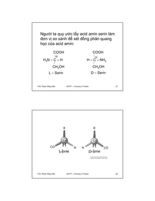 Người ta quy ước lấy acid amin serin làm 
đơn vị so sánh để xét đồng phân quang 
học của acid amin: 
COOH 
 
H2N – C – H 
CH2OH 
L – Serin 
COOH 
 
H – C – NH2 
CH2OH 
D – Serin 
ThS. Phạm Hồng Hiếu HSTP1 – Chương 3: Protein 27 
ThS. Phạm Hồng Hiếu HSTP1 – Chương 3: Protein 28 
 