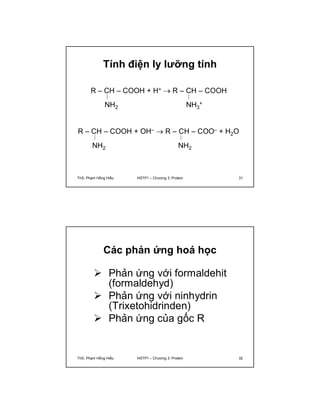 Tính điện ly lưỡng tính 
R – CH – COOH + H+  R – CH – COOH 
NH2 NH3 
+ 
R – CH – COOH + OH–  R – CH – COO– + H2O 
NH2 NH2 
ThS. Phạm Hồng Hiếu HSTP1 – Chương 3: Protein 31 
Các phản ứng hoá học 
 Phản ứng với formaldehit 
(formaldehyd) 
 Phản ứng với ninhydrin 
(Trixetohidrinden) 
 Phản ứng của gốc R 
ThS. Phạm Hồng Hiếu HSTP1 – Chương 3: Protein 32 
 