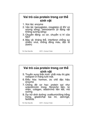 Vai trò của protein trong cơ thể 
sinh vật 
1. Xúc tác: enzyme 
2. Vận tải: hemoglobin, mioglobin (ở ĐV có 
xương sống), hemoxiamin (ở động vật 
không xương sống) 
3. Chuyển động: co cơ, chuyển vị trí của 
NST 
4. Bảo vệ: kháng thể, interferon chống sự 
nhiễm virut, chống đông máu, độc tố 
(toxin) 
ThS. Phạm Hồng Hiếu HSTP1 – Chương 3: Protein 3 
Vai trò của protein trong cơ thể 
sinh vật 
5. Truyền xung thần kinh: chất màu thị giác 
rodopxin ở màng lưới mắt. 
6. Điều hòa: hormon, ức chế đặc hiệu 
enzyme 
7. Chống đỡ cơ học: protein sợi như 
sclerotin/côn trùng, fibroin/tơ tằm, tơ 
nhện, colagen, elastin/mô liên kết, mô 
xương 
8. Dự trữ dinh dưỡng: ovalbumin/lòng trắng 
trứng, gliadin/hạt lúa mì, zein/ngô, 
feritin/lá. 
ThS. Phạm Hồng Hiếu HSTP1 – Chương 3: Protein 4 
 