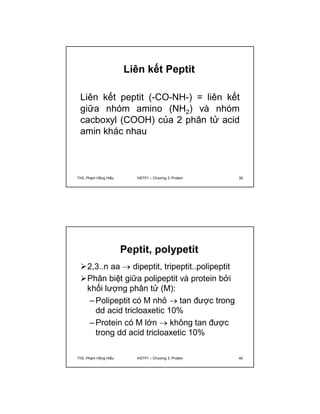 Liên kết Peptit 
Liên kết peptit (-CO-NH-) = liên kết 
giữa nhóm amino (NH2) và nhóm 
cacboxyl (COOH) của 2 phân tử acid 
amin khác nhau 
ThS. Phạm Hồng Hiếu HSTP1 – Chương 3: Protein 39 
Peptit, polypetit 
2,3..n aa  dipeptit, tripeptit..polipeptit 
Phân biệt giữa polipeptit và protein bởi 
khối lượng phân tử (M): 
–Polipeptit có M nhỏ  tan được trong 
dd acid tricloaxetic 10% 
–Protein có M lớn  không tan được 
trong dd acid tricloaxetic 10% 
ThS. Phạm Hồng Hiếu HSTP1 – Chương 3: Protein 40 
 