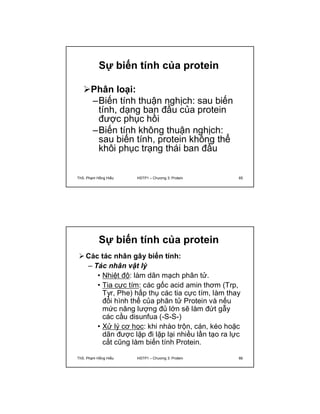 Sự biến tính của protein 
Phân loại: 
–Biến tính thuận nghịch: sau biến 
tính, dạng ban đầu của protein 
được phục hồi 
–Biến tính không thuận nghịch: 
sau biến tính, protein không thể 
khôi phục trạng thái ban đầu 
ThS. Phạm Hồng Hiếu HSTP1 – Chương 3: Protein 65 
Sự biến tính của protein 
Các tác nhân gây biến tính: 
– Tác nhân vật lý 
• Nhiệt độ: làm dãn mạch phân tử. 
• Tia cực tím: các gốc acid amin thơm (Trp, 
Tyr, Phe) hấp thụ các tia cực tím, làm thay 
đổi hình thể của phân tử Protein và nếu 
mức năng lượng đủ lớn sẽ làm đứt gẫy 
các cầu disunfua (-S-S-) 
• Xử lý cơ học: khi nhào trộn, cán, kéo hoặc 
dãn được lặp đi lặp lại nhiều lần tạo ra lực 
cắt cũng làm biến tính Protein. 
ThS. Phạm Hồng Hiếu HSTP1 – Chương 3: Protein 66 
 