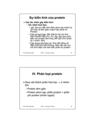 Sự biến tính của protein 
Các tác nhân gây biến tính: 
– Tác nhân hoá học: 
• pH: tạo lực đẩy tĩnh điện giữa các nhóm bị 
ion hoá và làm giãn mạch các phân tử 
Protein. 
• Các ion kim loại: đặc biệt là các ion kim 
loại chuyển tiếp (Cu, Fe, Hg, Ag) tạo phức 
bền với protein làm thay đổi cấu hình phân 
tử ( nhóm -SH) 
• Các dung môi hữu cơ: thay đổi hằng số 
điện môi của môi trường, biến đổi các lực 
hút tĩnh điện vốn làm bền phân tử protein 
ThS. Phạm Hồng Hiếu HSTP1 – Chương 3: Protein 67 
IV. Phân loại protein 
Dựa vào thành phần hóa học  2 nhóm 
lớn: 
–Protein đơn giản 
–Protein phức tạp: phần protein + phần 
phi protein (nhóm ngoại) 
ThS. Phạm Hồng Hiếu HSTP1 – Chương 3: Protein 68 
 