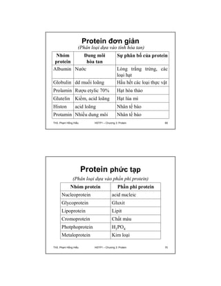Protein đơn giản 
(Phân loại dựa vào tính hòa tan) 
Nhóm 
protein 
Dung môi 
hòa tan 
Sự phân bố của protein 
Albumin Nước Lòng trắng trứng, các 
loại hạt 
Globulin dd muối loãng Hầu hết các loại thực vật 
Prolamin Rượu etylic 70% Hạt hòa thảo 
Glutelin Kiềm, acid loãng Hạt lúa mì 
Histon acid loãng Nhân tế bào 
Protamin Nhiều dung môi Nhân tế bào 
ThS. Phạm Hồng Hiếu HSTP1 – Chương 3: Protein 69 
Protein phức tạp 
(Phân loại dựa vào phần phi protein) 
Nhóm protein Phần phi protein 
Nucleoprotein acid nucleic 
Glycoprotein Gluxit 
Lipoprotein Lipit 
Cromoprotein Chất màu 
Photphoprotein H3PO4 
Metaloprotein Kim loại 
ThS. Phạm Hồng Hiếu HSTP1 – Chương 3: Protein 70 
 