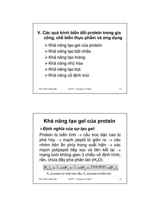 V. Các quá trình biến đổi protein trong gia 
công, chế biến thực phẩm và ứng dụng 
Khả năng tạo gel của protein 
Khả năng tạo bột nhão 
Khả năng tạo màng 
Khả năng nhũ hóa 
Khả năng tạo bọt 
Khả năng cố định mùi 
ThS. Phạm Hồng Hiếu HSTP1 – Chương 3: Protein 71 
Khả năng tạo gel của protein 
Định nghĩa của sự tạo gel: 
Protein bị biến tính  cấu trúc bậc cao bị 
phá hủy  mạch peptit bị giãn ra  các 
nhóm bên ẩn phía trong xuất hiện  các 
mạch polipeptit tiếp xúc và liên kết lại  
mạng lưới không gian 3 chiều vô định hình, 
rắn, chứa đầy pha phân tán (H2O) 
N n (P ) nP nP (P ) 0 0    
PN là protein tự nhiên ban đầu, PD là protein bị biến tính. 
D n 
t0 hoacë lamø lanï h 
D 
t 
N 
t 
ThS. Phạm Hồng Hiếu HSTP1 – Chương 3: Protein 72 
 