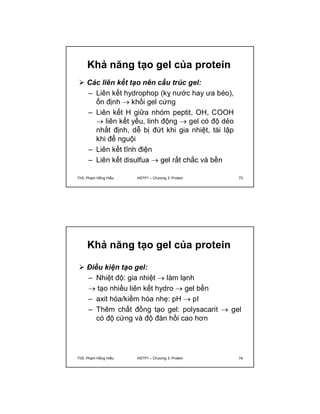 Khả năng tạo gel của protein 
 Các liên kết tạo nên cấu trúc gel: 
– Liên kết hydrophop (kỵ nước hay ưa béo), 
ổn định  khối gel cứng 
– Liên kết H giữa nhóm peptit, OH, COOH 
 liên kết yếu, linh động  gel có độ dẻo 
nhất định, dễ bị đứt khi gia nhiệt, tái lập 
khi để nguội 
– Liên kết tĩnh điện 
– Liên kết disulfua  gel rất chắc và bền 
ThS. Phạm Hồng Hiếu HSTP1 – Chương 3: Protein 73 
Khả năng tạo gel của protein 
 Điều kiện tạo gel: 
– Nhiệt độ: gia nhiệt  làm lạnh 
 tạo nhiều liên kết hydro  gel bền 
– axit hóa/kiềm hóa nhẹ: pH  pI 
– Thêm chất đồng tạo gel: polysacarit  gel 
có độ cứng và độ đàn hồi cao hơn 
ThS. Phạm Hồng Hiếu HSTP1 – Chương 3: Protein 74 
 