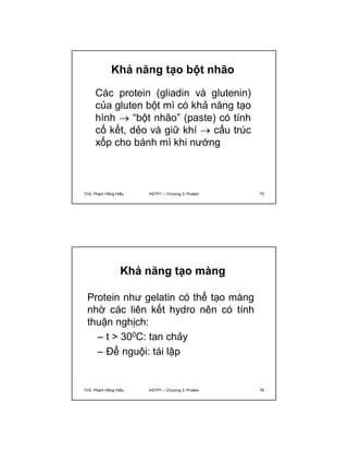 Khả năng tạo bột nhão 
Các protein (gliadin và glutenin) 
của gluten bột mì có khả năng tạo 
hình  “bột nhão” (paste) có tính 
cố kết, dẻo và giữ khí  cấu trúc 
xốp cho bánh mì khi nướng 
ThS. Phạm Hồng Hiếu HSTP1 – Chương 3: Protein 75 
Khả năng tạo màng 
Protein như gelatin có thể tạo màng 
nhờ các liên kết hydro nên có tính 
thuận nghịch: 
– t > 300C: tan chảy 
– Để nguội: tái lập 
ThS. Phạm Hồng Hiếu HSTP1 – Chương 3: Protein 76 
 
