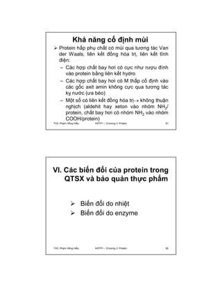 Khả năng cố định mùi 
 Protein hấp phụ chất có mùi qua tương tác Van 
der Waals, liên kết đồng hóa trị, liên kết tĩnh 
điện: 
– Các hợp chất bay hơi có cực như rượu đính 
vào protein bằng liên kết hydro 
– Các hợp chất bay hơi có M thấp cố định vào 
các gốc axit amin không cực qua tương tác 
kỵ nước (ưa béo) 
– Một số có liên kết đồng hóa trị không thuận 
nghịch (aldehit hay xeton vào nhóm NH2/ 
protein, chất bay hơi có nhóm NH2 vào nhóm 
COOH/protein) 
ThS. Phạm Hồng Hiếu HSTP1 – Chương 3: Protein 81 
VI. Các biến đổi của protein trong 
QTSX và bảo quản thực phẩm 
 Biến đổi do nhiệt 
 Biến đổi do enzyme 
ThS. Phạm Hồng Hiếu HSTP1 – Chương 3: Protein 82 
 