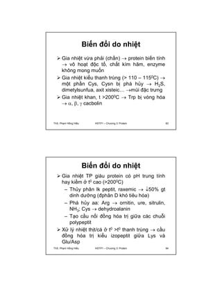 Biến đổi do nhiệt 
 Gia nhiệt vừa phải (chần)  protein biến tính 
 vô hoạt độc tố, chất kìm hãm, enzyme 
không mong muốn 
 Gia nhiệt kiểu thanh trùng (> 110 – 1150C)  
một phần Cys, Cysn bị phá hủy  H2S, 
dimetylsunfua, axit xisteic… mùi đặc trưng 
 Gia nhiệt khan, t >2000C  Trp bị vòng hóa 
 , ,  cacbolin 
ThS. Phạm Hồng Hiếu HSTP1 – Chương 3: Protein 83 
Biến đổi do nhiệt 
 Gia nhiệt TP giàu protein có pH trung tính 
hay kiềm ở t0 cao (>2000C) 
– Thủy phân lk peptit, raxemic  50% gt 
dinh dưỡng (đphân D khó tiêu hóa) 
– Phá hủy aa: Arg  ornitin, ure, sitrulin, 
NH3; Cys  dehydroalanin 
– Tạo cầu nối đồng hóa trị giữa các chuỗi 
polypeptit 
 Xử lý nhiệt thịt/cá ở t0 >t0 thanh trùng  cầu 
đồng hóa trị kiểu izopeptit giữa Lys và 
Glu/Asp 
ThS. Phạm Hồng Hiếu HSTP1 – Chương 3: Protein 84 
 