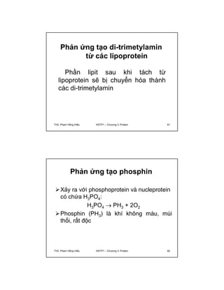 Phản ứng tạo di-trimetylamin 
từ các lipoprotein 
Phần lipit sau khi tách từ 
lipoprotein sẽ bị chuyển hóa thành 
các di-trimetylamin 
ThS. Phạm Hồng Hiếu HSTP1 – Chương 3: Protein 91 
Phản ứng tạo phosphin 
Xảy ra với phosphoprotein và nucleprotein 
có chứa H3PO4: 
H3PO4  PH3 + 2O2 
Phosphin (PH3) là khí không màu, mùi 
thối, rất độc 
ThS. Phạm Hồng Hiếu HSTP1 – Chương 3: Protein 92 
 