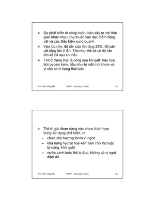  Sự phát triển tê cóng hoàn toàn xảy ra với thời 
gian khác nhau phụ thuộc vào đặc điểm động 
vật và các điều kiện xung quanh 
 Vào lúc này: độ rắn của thịt tăng 25%, độ cản 
cắt tăng lên 2 lần. Thịt như thế sẽ có độ rắn 
lớn kể cả sau khi nấu 
 Thịt ở trạng thái tê cóng sau khi giết: tiêu hoá 
bởi pepsin kém, hầu như bị mất mùi thơm và 
vị sẵn có ở trạng thái luộc 
ThS. Phạm Hồng Hiếu HSTP1 – Chương 3: Protein 101 
 Thịt ở giai đoạn cứng xác chưa thích hợp 
trong sử dụng chế biến, vì: 
– chưa cho hương thơm vị ngon 
– khả năng hydrat hoá kém làm cho thịt luộc 
bị cứng, khô quắt 
– nước canh luộc thịt bị đục, không có vị ngọt 
đậm đà 
ThS. Phạm Hồng Hiếu HSTP1 – Chương 3: Protein 102 
 