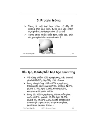 3. Protein trứng 
 Trứng là một loại thực phẩm có đầy đủ 
dưỡng chất cần thiết, được xếp vào nhóm 
thực phẩm xây dựng và bồi bổ cơ thể 
 Trứng chứa nhiều chất đạm, chất béo, chất 
sắt, phospho hữu cơ và vitamin A 
ThS. Phạm Hồng Hiếu HSTP1 – Chương 3: Protein 137 
Cấu tạo, thành phần hoá học của trứng 
 Vỏ trứng: chiếm 10% trọng lượng, cấu tạo chủ 
yếu bởi CaCO3, MgCO3, chất hữu cơ 
 Lòng trắng trứng: chiếm 60% trọng lượng, 
thành phần gồm: nước 87,9%, protein: 12,4%, 
glucid 0,77%, lipid 0,24%, khoáng 0,6%, 
enzyme antitrypsin, avidin. 
 Lòng đỏ: 30% trọng lượng, thành phần gồm: 
nước 48,7%, protein 16,6%, lipid 32,6%, 
glucid 1%, khoáng 0,6%, sắc tố caroteinoid, 
xantophyl, criproxantin, enzyme amylase, 
peptidase, pepsin, lipase… 
ThS. Phạm Hồng Hiếu HSTP1 – Chương 3: Protein 138 
 