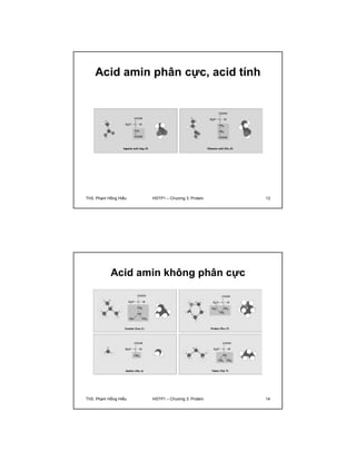 Acid amin phân cực, acid tính 
ThS. Phạm Hồng Hiếu HSTP1 – Chương 3: Protein 13 
Acid amin không phân cực 
ThS. Phạm Hồng Hiếu HSTP1 – Chương 3: Protein 14 
 