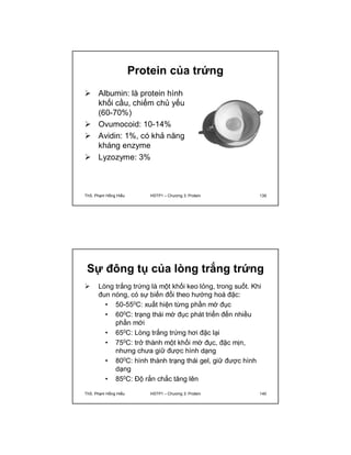 Protein của trứng 
 Albumin: là protein hình 
khối cầu, chiếm chủ yếu 
(60-70%) 
 Ovumocoid: 10-14% 
 Avidin: 1%, có khả năng 
kháng enzyme 
 Lyzozyme: 3% 
ThS. Phạm Hồng Hiếu HSTP1 – Chương 3: Protein 139 
Sự đông tụ của lòng trắng trứng 
 Lòng trắng trứng là một khối keo lỏng, trong suốt. Khi 
đun nóng, có sự biến đổi theo hướng hoá đặc: 
• 50-550C: xuất hiện từng phần mờ đục 
• 600C: trạng thái mờ đục phát triển đến nhiều 
phần mới 
• 650C: Lòng trắng trứng hơi đặc lại 
• 750C: trở thành một khối mờ đục, đặc mịn, 
nhưng chưa giữ được hình dạng 
• 800C: hình thành trạng thái gel, giữ được hình 
dạng 
• 850C: Độ rắn chắc tăng lên 
ThS. Phạm Hồng Hiếu HSTP1 – Chương 3: Protein 140 
 