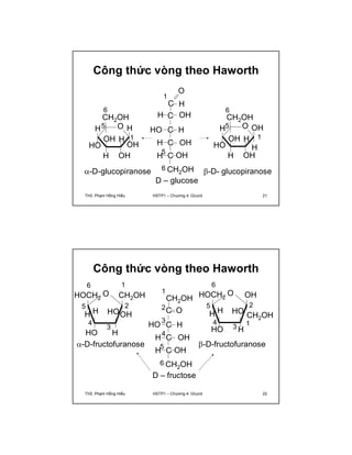Công thức vòng theo Haworth 
H 
1 
H C OH 
HO 
O 
C 
C H 
H C OH 
H C 
OH 
CH2OH 
5 
6 
D – glucose 
6 
5 
CH2OH 
O 
H 
OH 1 
H 
OH 
OH 
H 
HO 
H 
-D-glucopiranose 
6 
CH2OH 
O 
OH 
H 
OH 
5 
H 
1 
HO H 
OH 
H 
-D- glucopiranose 
ThS. Phạm Hồng Hiếu HSTP1 – Chương 4: Glucid 21 
Công thức vòng theo Haworth 
6 1 
O 
HOOH 
HOCH2 CH2OH 
H H 
4 3 
5 
HO 
H 
2 
O 
HO 
6 
HOCH2 
OH 
H H CH2OH 
4 3 
HO 
H 
2 
1 
5 
CH2OH 
O 
C 
C H 
HO 
1 
2 
3 
4 
H C OH 
H C 
-D-fructofuranose -D-fructofuranose 
OH 
CH2OH 
5 
6 
D – fructose 
ThS. Phạm Hồng Hiếu HSTP1 – Chương 4: Glucid 22 
 