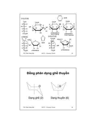 ThS. Phạm Hồng Hiếu HSTP1 – Chương 4: Glucid 23 
Đồng phân dạng ghế thuyền 
O O 
Dạng ghế (2) Dạng thuyền (6) 
ThS. Phạm Hồng Hiếu HSTP1 – Chương 4: Glucid 24 
 
