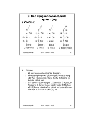 3. Các dạng monosaccharide 
quan trọng 
Pentose: 
O 
C 
H 
H C OH 
HO C H 
HO C 
H 
CH2OH 
L-arabinose 
O 
C 
H 
H C OH 
HO C H 
H C 
OH 
CH2OH 
D-xilose 
O 
C 
H 
H C OH 
H C OH 
H C 
OH 
CH2OH 
D-ribose 
O 
C 
H 
H C H 
H C OH 
H C 
OH 
CH2OH 
D-desoxyribose 
ThS. Phạm Hồng Hiếu HSTP1 – Chương 4: Glucid 25 
 Pentose 
– Là các monosaccharide chứa 5 carbon. 
– Pentose hiện diện chủ yếu trong cấu trúc của động 
vật, thực vật; ngoài ra ở trạng thái tự do ta cũng có 
thể gặp một số loại 
– Các pentose quan trọng là: L-Arabinose, D-Xylose, D-Ribose 
và D-Deroxyribose. Ngoài ra các D-Ribulose 
và L-Xylulose cũng thường có mặt trong cấu trúc của 
thực vật, vi sinh vật và mô động vật 
ThS. Phạm Hồng Hiếu HSTP1 – Chương 4: Glucid 26 
 