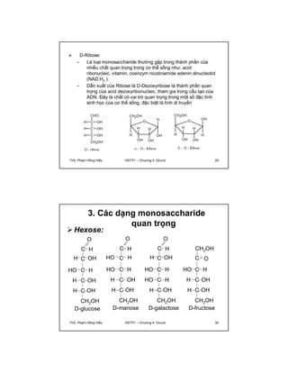  D-Ribose: 
– Là loại monosaccharide thường gặp trong thành phần của 
nhiều chất quan trọng trong cơ thể sống như: acid 
ribonucleic, vitamin, coenzym nicotinamide adenin dinucleotid 
(NAD.H2 ). 
– Dẫn xuất của Ribose là D-Dezoxyribose là thành phần quan 
trọng của acid dezoxyribonucleic, tham gia trong cấu tạo của 
ADN. Đây là chất có vai trò quan trọng trong một số đặc tính 
sinh học của cơ thể sống, đặc biệt là tính di truyền 
ThS. Phạm Hồng Hiếu HSTP1 – Chương 4: Glucid 29 
3. Các dạng monosaccharide 
quan trọng 
Hexose: 
O O O 
C 
H 
H C OH 
HO C H 
H C OH 
H C 
OH 
CH2OH 
D-glucose 
C 
H 
HO C H 
HO C H 
H C OH 
H C 
OH 
CH2OH 
D-manose 
C 
H 
H C OH 
HO C H 
HO C H 
H C 
OH 
CH2OH 
D-galactose 
CH2OH 
C O 
HO C H 
H C OH 
H C 
OH 
CH2OH 
D-fructose 
ThS. Phạm Hồng Hiếu HSTP1 – Chương 4: Glucid 30 
 