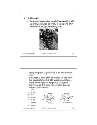  D-Glucose: 
– Là loại monosaccharide phổ biến ở động vật 
và ở thực vật. Nó có nhiều ở trong nho chín 
nên còn được gọi là đường nho 
ThS. Phạm Hồng Hiếu HSTP1 – Chương 4: Glucid 31 
– Trong dung dịch, D-glucose dễ bị lên men bởi nấm 
men. 
– D-Glucose là thành phần cơ bản cấu tạo nên nhiều 
loại polysaccharide: tinh bột, glycogen, cellulose,.. 
– Trong cơ thể người và động vật, D-Glucose là 
thành phần cố định trong máu, dễ dàng được cơ 
thể con người hấp thụ. 
ThS. Phạm Hồng Hiếu HSTP1 – Chương 4: Glucid 32 
 