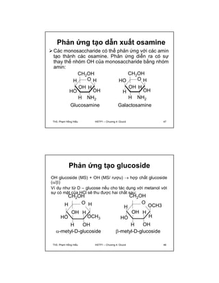 Phản ứng tạo dẫn xuất osamine 
Các monosaccharide có thể phản ứng với các amin 
tạo thành các osamine. Phản ứng diễn ra có sự 
thay thế nhóm OH của monosaccharide bằng nhóm 
amin: 
CH2OH 
O 
OH 
H 
H OH 
NH2 
H 
HO 
H 
CH2OH 
O 
OH 
H 
H 
OH 
NH2 
HO 
H 
H 
Glucosamine Galactosamine 
ThS. Phạm Hồng Hiếu HSTP1 – Chương 4: Glucid 47 
Phản ứng tạo glucoside 
OH glucoside (MS) + OH (MS/ rượu)  hợp chất glucoside 
(/) 
Ví dụ như từ D – glucose nếu cho tác dụng với metanol với 
sự có mặt của HCl sẽ thu được hai chất sau: 
CH2OH 
O 
H 
H 
OCH3 
OH 
H 
HO 
OH 
H 
CH2OH 
O 
OCH3 
H 
H 
OH 
H 
HO 
OH 
H 
-metyl-D-glucoside -metyl-D-glucoside 
ThS. Phạm Hồng Hiếu HSTP1 – Chương 4: Glucid 48 
 