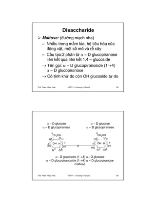 Disaccharide 
 Maltose: (đường mạch nha) 
– Nhiều trong mầm lúa, hệ tiêu hóa của 
động vật, một số mô và rễ cây 
– Cấu tạo:2 phân tử  – D glucopiranose 
liên kết qua liên kết 1,4 – glucoside 
 Tên gọi:  – D glucopiranoside (14) 
 – D glucopiranose 
 Có tính khử do còn OH glucoside tự do 
ThS. Phạm Hồng Hiếu HSTP1 – Chương 4: Glucid 55 
 – D glucose 
 – D glucopiranose 
O 
6 
CH2OH 
O 
OH H 
1 
3 2 
H 
 – D glucose 
 – D glucopiranose 
H 
4 
OH HO 
OH 
H 
4 
HO 
5 
H 
6 
CH2OH 
O 
OH H 
1 
3 2 
H 
OH 
OH 
5 
H 
– D glucoside (14) – D glucose 
 – D glucopiranoside (14)  – D glucopiranose 
maltose 
ThS. Phạm Hồng Hiếu HSTP1 – Chương 4: Glucid 56 
 