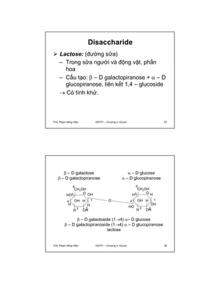 Disaccharide 
 Lactose: (đường sữa) 
– Trong sữa người và động vật, phấn 
hoa 
– Cấu tạo:  – D galactopiranose +  – D 
glucopiranose, liên kết 1,4 – glucoside 
 Có tính khử. 
ThS. Phạm Hồng Hiếu HSTP1 – Chương 4: Glucid 57 
 – D galactose 
 – D galactopiranose 
O 
6 
CH2OH 
O 
OH 
OH H 
1 
3 2 
5 
HO 
4 
H H 
OH 
H 
 – D glucose 
 – D glucopiranose 
H 
4 
HO 
6 
CH2OH 
O 
OH H 
1 
3 2 
H 
OH 
OH 
5 
H 
 – D galactoside (14) – D glucose 
 – D galactopiranoside (14)  – D glucopiranose 
lactose 
ThS. Phạm Hồng Hiếu HSTP1 – Chương 4: Glucid 58 
 