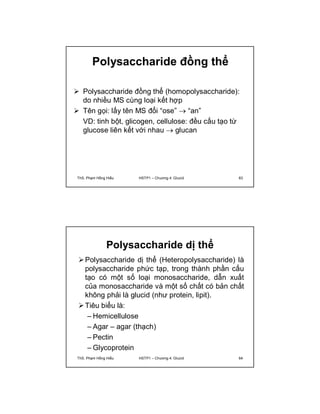 Polysaccharide đồng thể 
 Polysaccharide đồng thể (homopolysaccharide): 
do nhiều MS cùng loại kết hợp 
 Tên gọi: lấy tên MS đổi “ose”  “an” 
VD: tinh bột, glicogen, cellulose: đều cấu tạo từ 
glucose liên kết với nhau  glucan 
ThS. Phạm Hồng Hiếu HSTP1 – Chương 4: Glucid 63 
Polysaccharide dị thể 
Polysaccharide dị thể (Heteropolysaccharide) là 
polysaccharide phức tạp, trong thành phần cấu 
tạo có một số loại monosaccharide, dẫn xuất 
của monosaccharide và một số chất có bản chất 
không phải là glucid (như protein, lipit). 
Tiêu biểu là: 
– Hemicellulose 
– Agar – agar (thạch) 
– Pectin 
– Glycoprotein 
ThS. Phạm Hồng Hiếu HSTP1 – Chương 4: Glucid 64 
 