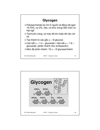 Glycogen 
Polysaccharide dự trữ ở người và động vật (gan 
10-15%, cơ 2%, não, cơ tim), trong nấm men và 
hạt ngô 
Tan/nước nóng, có màu đỏ tím hoặc đỏ nâu với 
iot. 
Tạo thành từ các gốc  – D glucose 
Liên kết  – 1,4 – glucoside + liên kết  – 1,6 – 
glucoside, (phân nhánh như amilopectin) 
Mức độ phân nhánh: 10  – D glucose/nhánh 
ThS. Phạm Hồng Hiếu HSTP1 – Chương 4: Glucid 87 
ThS. Phạm Hồng Hiếu HSTP1 – Chương 4: Glucid 88 
 