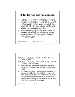 3. Sự hô hấp của hạt ngũ cốc 
 Hạt ngũ cốc khi chín, hàm lượng nước trong 
hạt giảm mạnh, hạt rơi vào trạng thái ngủ sinh 
lý. Trong quá trình bảo quản, ngũ cốc ở dạng 
chưa chế biến vẫn thực hiện sự hô hấp (chủ 
yếu do enzym oxydase tạo nên). 
 Hiện tượng này xảy ra càng mạnh khi độ ẩm, 
nhiệt độ môi trường cao. Sự hô hấp của hạt 
phụ thuộc nhiều vào sự hiện diện và hàm 
lượng của oxygen: 
ThS. Phạm Hồng Hiếu HSTP1 – Chương 4: Glucid 103 
(C6H10O5)n → nC6H12O6 → 6nCO2 + 6nH2O + 674 kcal 
(nhiều oxygen) 
(C6H10O5)n → nC6H12O6 → 2nCO2 + 2nC2H5OH + 24 kcal 
→ CH3COOH (ít oxygen) 
 Hiện tượng này làm cho bột trong lương thực giảm 
dần, độ ẩm và nhiệt độ tăng lên (hiện tượng tự sinh 
nhiệt) 
 Khi to tăng tới một mức nhiệt độ thích hợp thì enzym 
oxydase hoạt động làm cho quá trình hô hấp mạnh 
thêm tạo điều kiện cho vi sinh vật phát triển thuận lợi 
cho các enzym thủy phân ngũ cốc sẽ phân giải các 
chất dinh dưỡng trong ngũ cốc làm cho ngũ cốc bị hư 
hỏng (lên men chua, lên men rượu) 
ThS. Phạm Hồng Hiếu HSTP1 – Chương 4: Glucid 104 
 